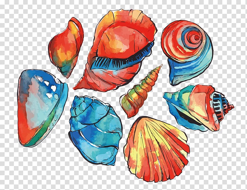 red and blue conch shells , Watercolor painting Illustration, shells transparent background PNG clipart
