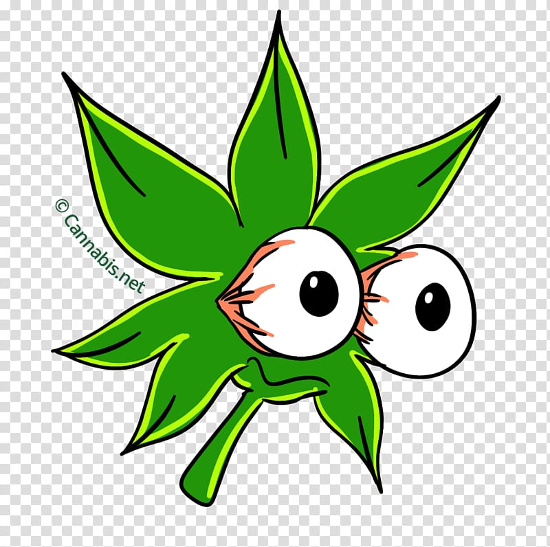 Leaf Line art Cartoon , Intraocular Pressure transparent background PNG clipart