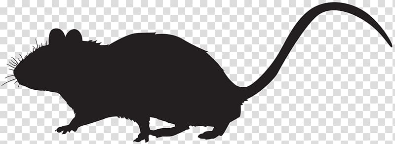 Mouse Silhouette Cat , sillhouette transparent background PNG clipart