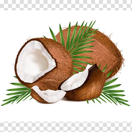Coconut water , coconut transparent background PNG clipart