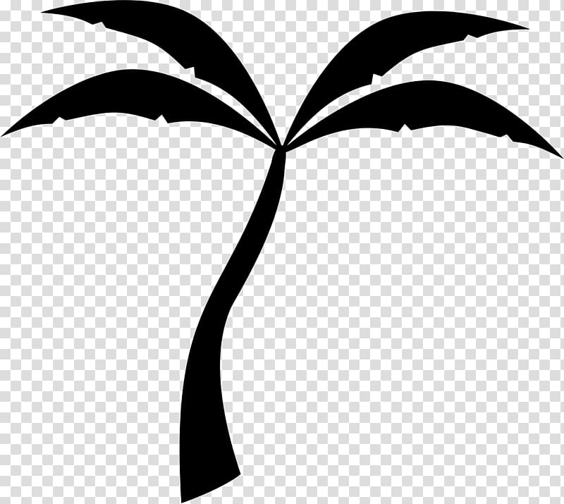 Arecaceae Silhouette , date palm transparent background PNG clipart