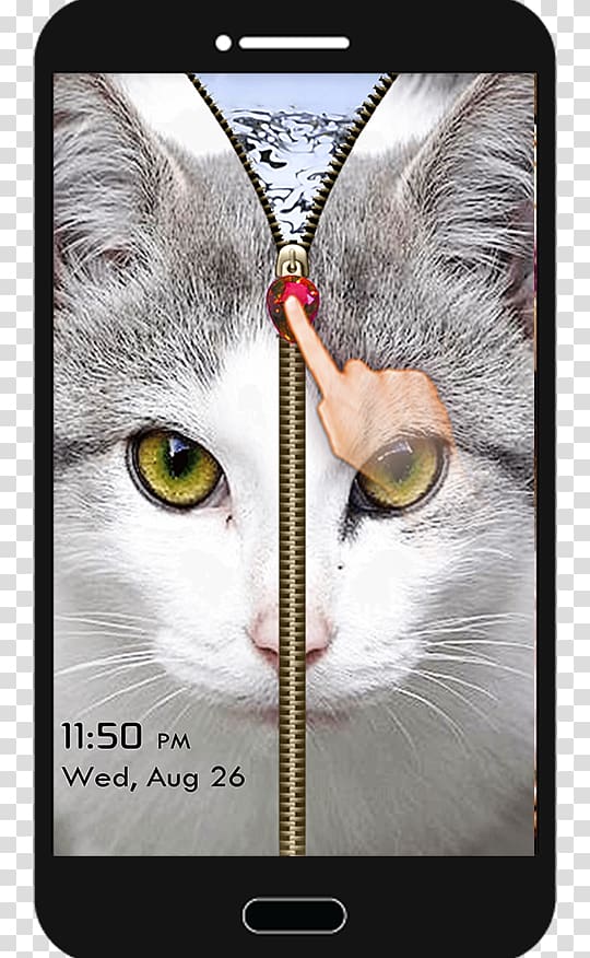 Whiskers Kitten Tabby cat Domestic short-haired cat, kitten transparent background PNG clipart