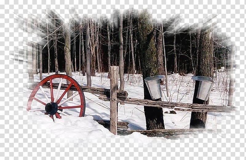 Sugar Shack Temps des sucres Cabane Desktop Sugar bush, others transparent background PNG clipart