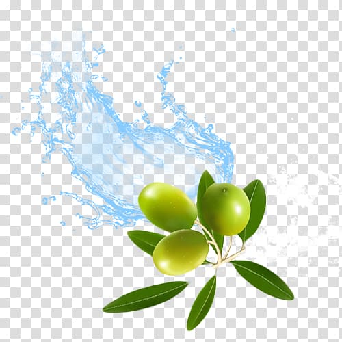 Water Olive Surfactant KK India Petroleum Specialities Private Limited, Olive replenishment transparent background PNG clipart