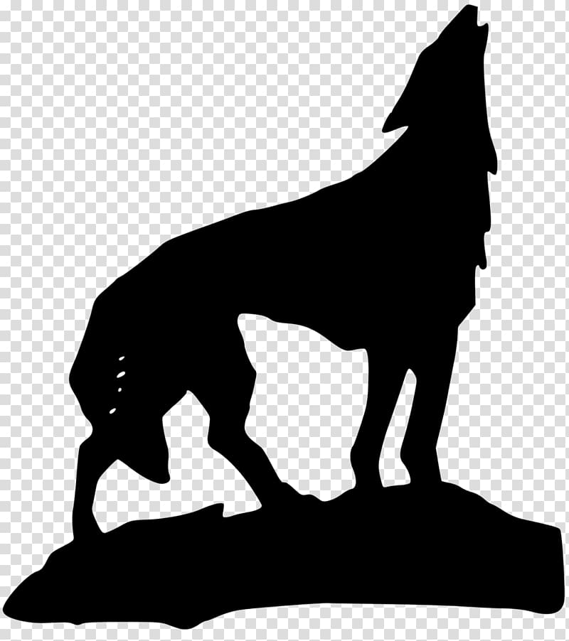 Gray wolf , wolves transparent background PNG clipart