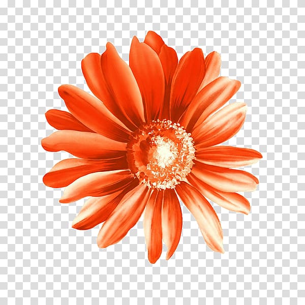 Flower Drawing, Red sunflower material transparent background PNG clipart
