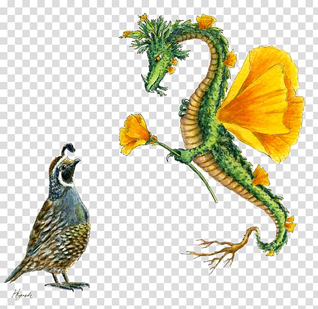 California poppy Dragon, watercolor bird transparent background PNG clipart