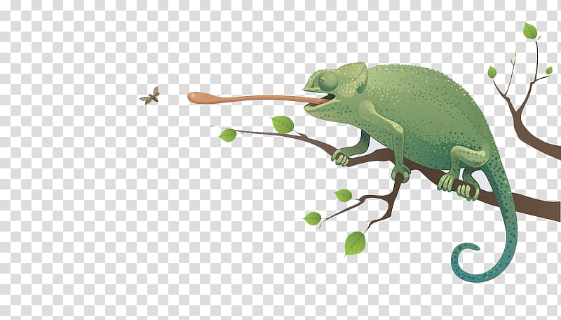 Chameleons Lizard , The insects are picking up the lizards transparent background PNG clipart