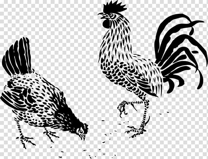 Plymouth Rock chicken Drawing Line art Rooster, hen transparent background PNG clipart
