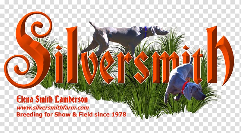 Weimaraner Puppy Logo Silversmith Farm Boarding LLC Charleston Dog Training Club, puppy transparent background PNG clipart
