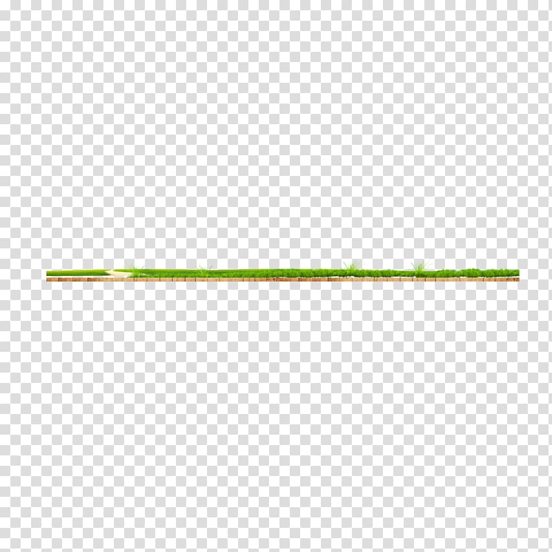 Green Plant Angle, Green grass on wood transparent background PNG clipart