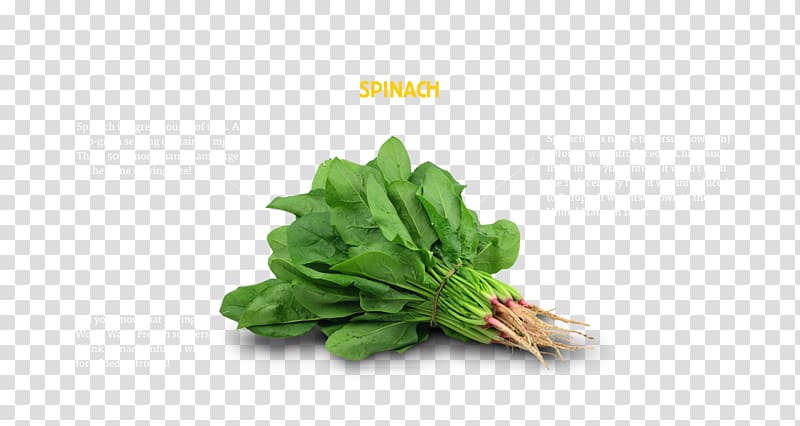 Vegetable Spinach Food Health Grocery store, vegetable transparent background PNG clipart