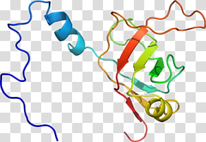 Line Point Organism , line transparent background PNG clipart thumbnail