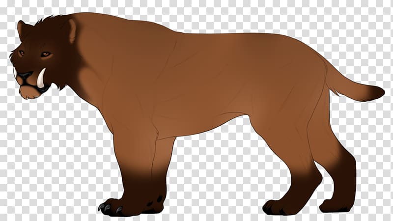 Lion Big cat Dog breed Cougar, its 5 00 somewhere transparent background PNG clipart