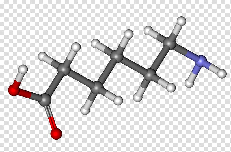 Aminocaproic acid Hexanoic acid Amino acid Chemical compound, Linoleic Acid transparent background PNG clipart