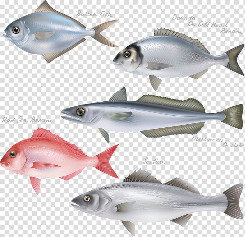 Fish steak Fishing , The fish icon transparent background PNG clipart