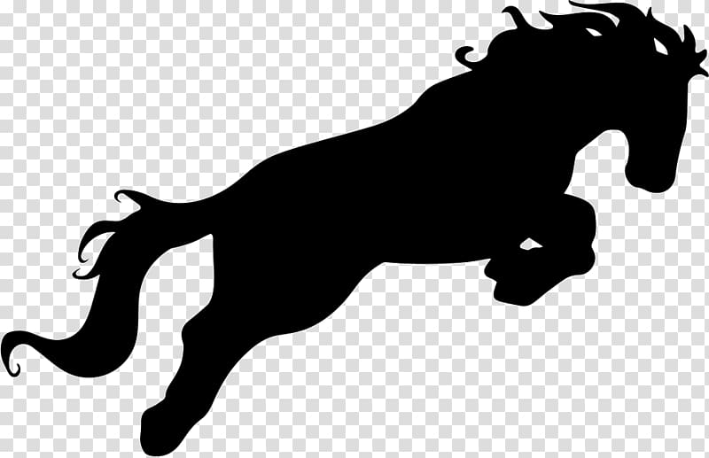 American Saddlebred Computer Icons Horse racing , others transparent background PNG clipart