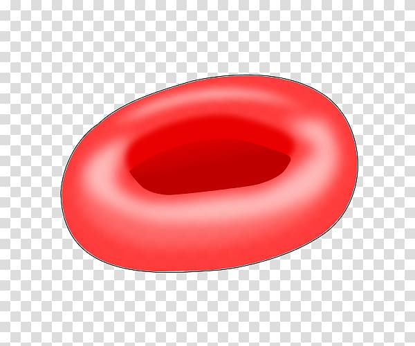 Red blood cell Hemoglobin Cell nucleus, cell transparent background PNG clipart