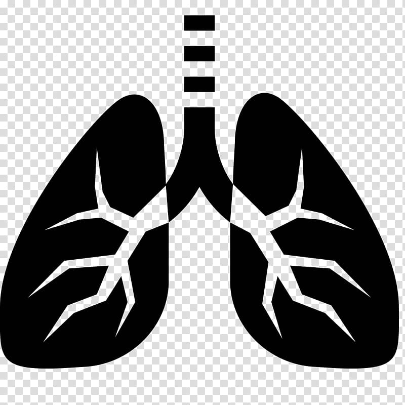 Computer Icons Lung Breathing Inhalation Trachea, lunges transparent background PNG clipart