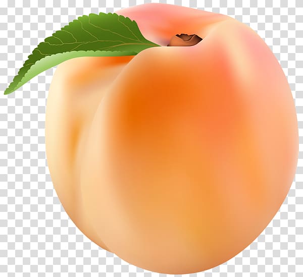 Nectarine Peach , peach transparent background PNG clipart