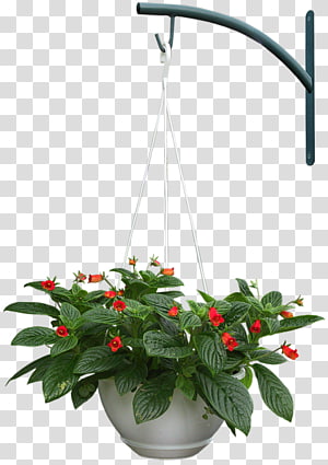 Adobe shop Design Portable Network Graphics Architecture Garden, design transparent background PNG clipart thumbnail