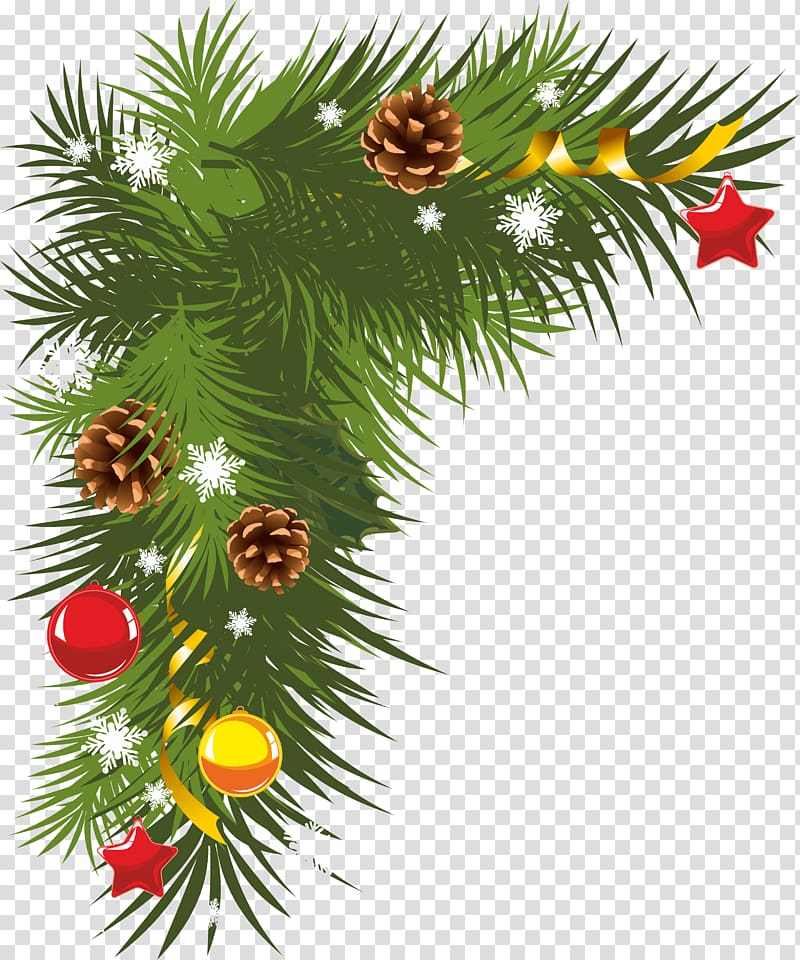 Christmas Pine Branch , fir-tree transparent background PNG clipart