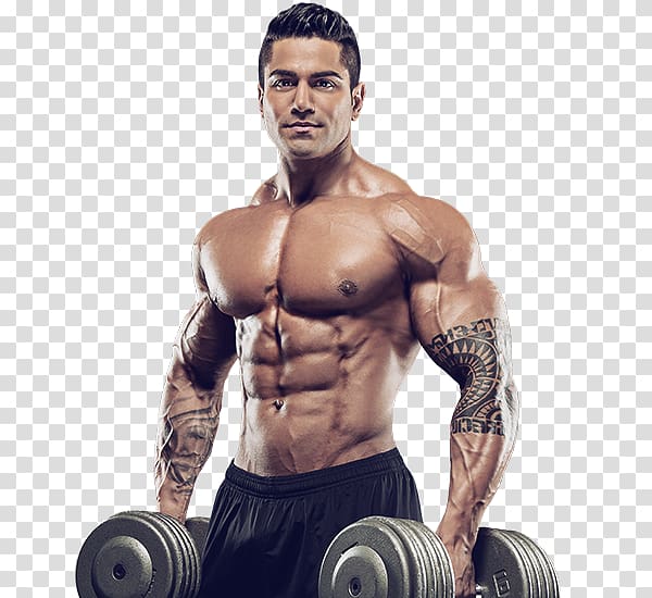 Dietary supplement Bodybuilding supplement MuscleTech Creatine Weight training, others transparent background PNG clipart