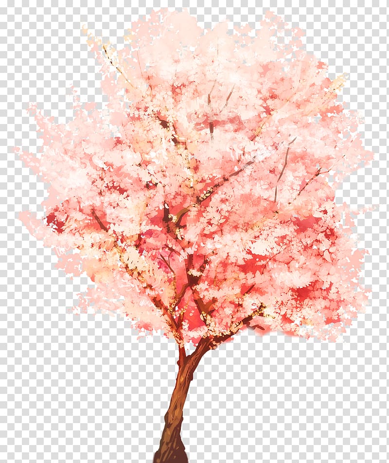 Tree SketchUp Plant Webtoon Watercolor painting, cherry blossom watercolor transparent background PNG clipart
