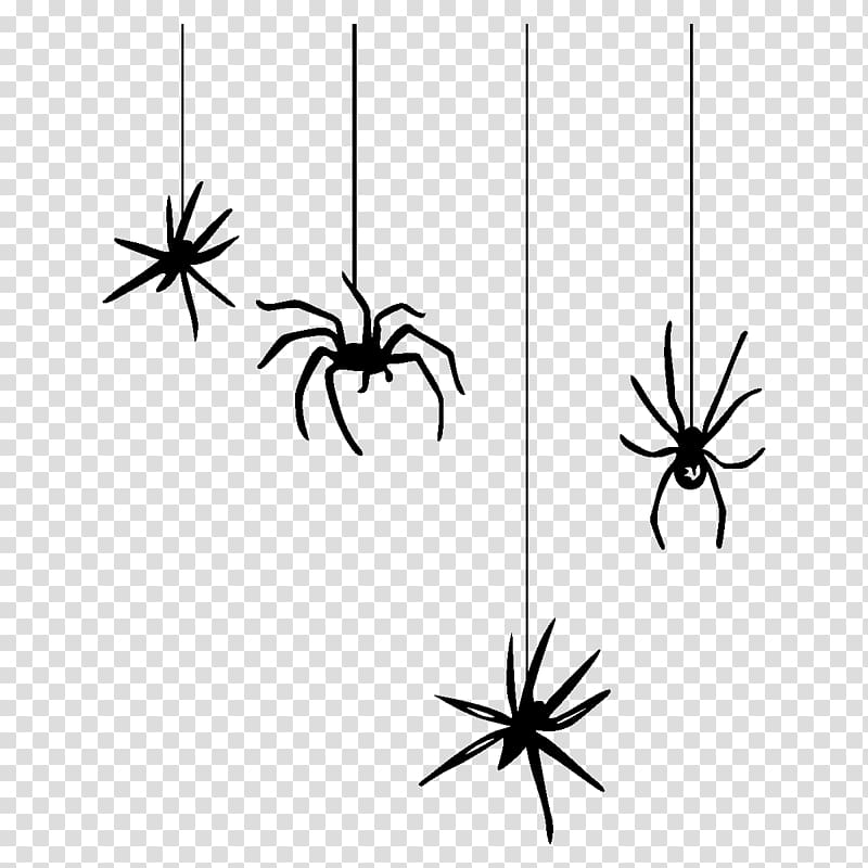 Spider web Halloween , spider transparent background PNG clipart