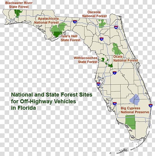 Apalachicola National Forest Chattahoochee-Oconee National Forest Hillsborough River State Park Map United States National Forest, river plant transparent background PNG clipart