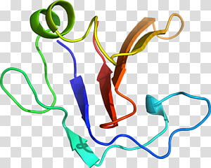 Line Point , line transparent background PNG clipart thumbnail