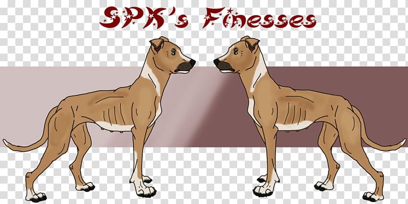 Spanish greyhound Dog breed Whippet Italian Greyhound, bred pit transparent background PNG clipart
