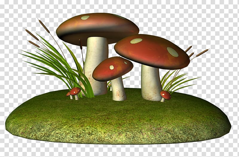 Drawing Fungus Mushroom Pencil, mushroom transparent background PNG clipart