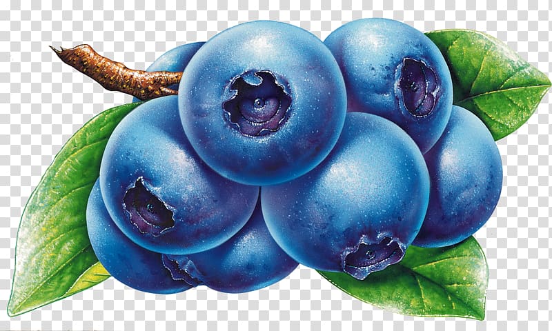 Juice Muffin Blueberry Tart, Blueberries transparent background PNG clipart