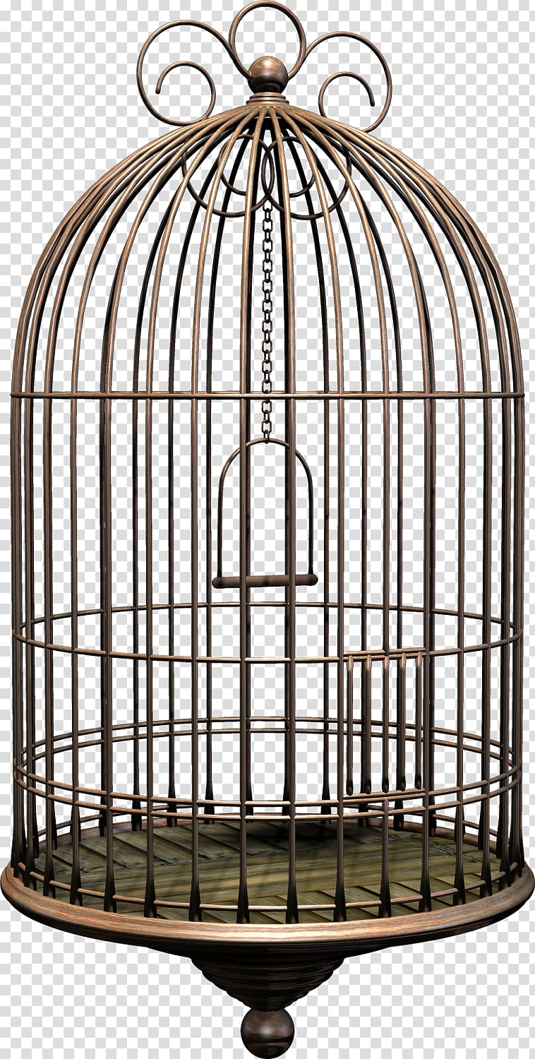 Birdcage Cockatiel, bird cage transparent background PNG clipart