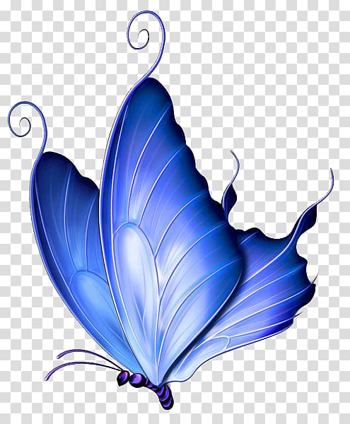 Butterfly Pink Purple , blue butterfly transparent background PNG clipart