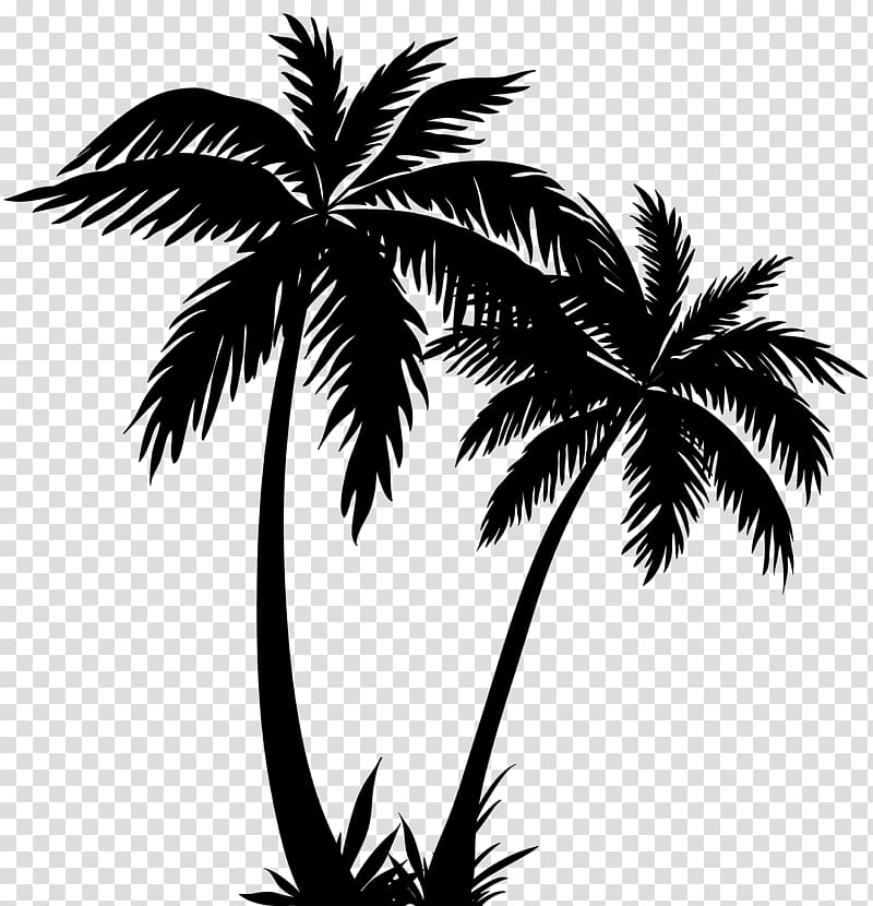 silhouette of two coconut trees, Arecaceae Silhouette , palm tree transparent background PNG clipart
