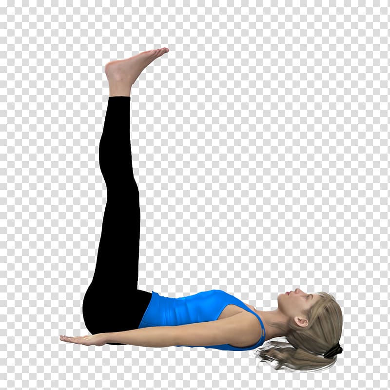 Thigh Human leg Hip Human body Arm, yoga pose transparent background PNG clipart