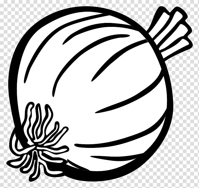 Red onion , shading transparent background PNG clipart