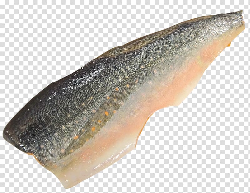 Sashimi Fishing Seafood Salmon, SALMON transparent background PNG clipart