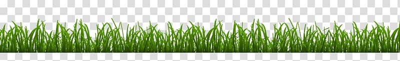 Full Circle Lawn Care, LLC Holmdel Landscape design Sea Bright, grass village transparent background PNG clipart