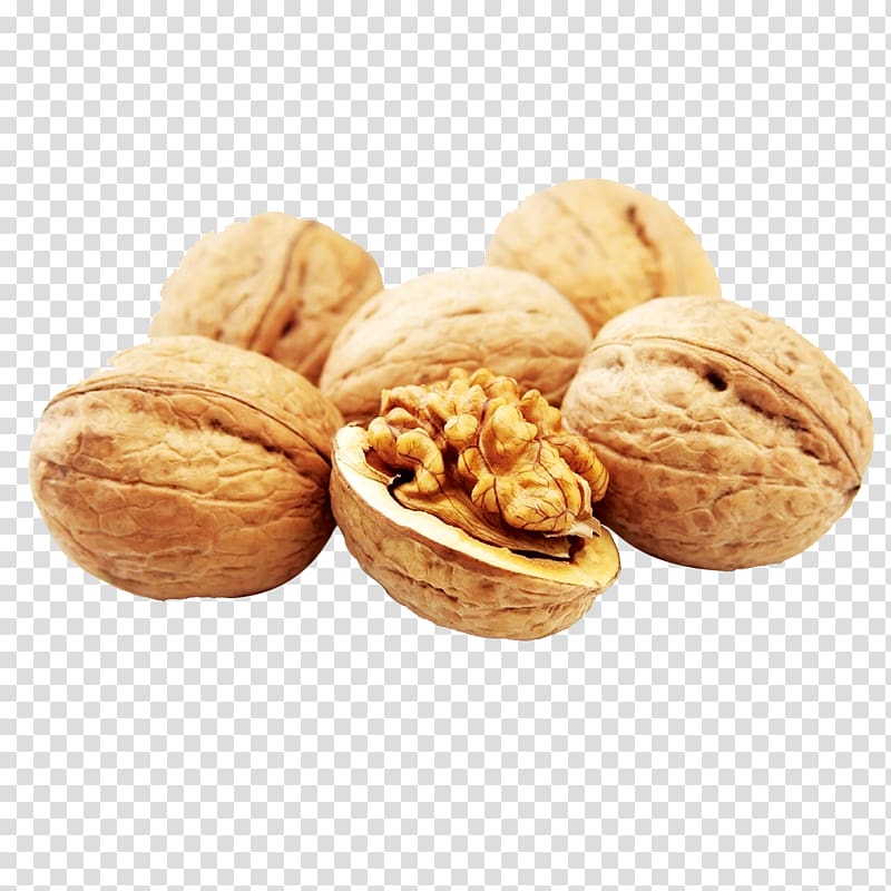 English walnut Eastern black walnut , walnut transparent background PNG clipart