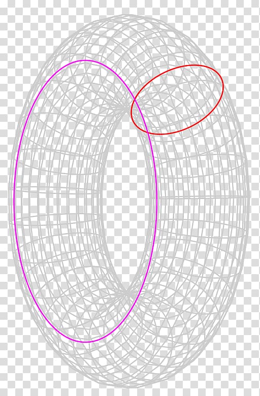 Circle Torus Mathematics Geometry Topology, circle transparent background PNG clipart