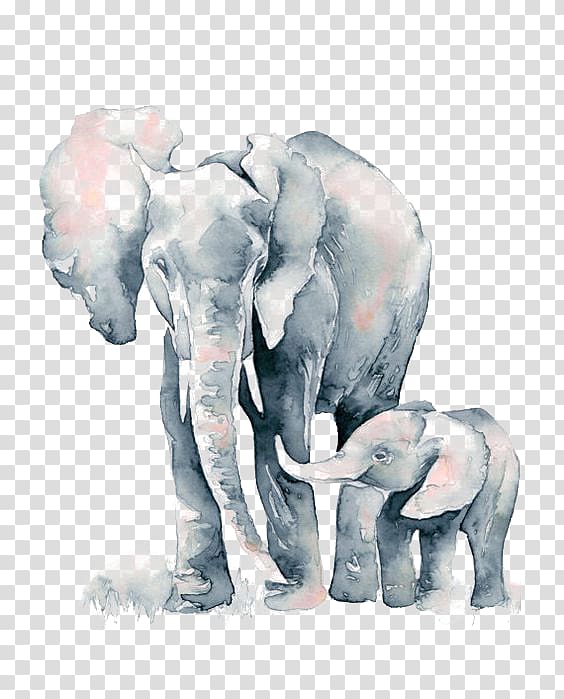 Watercolor painting African elephant Drawing, Elephant, two gray elephants painting transparent background PNG clipart