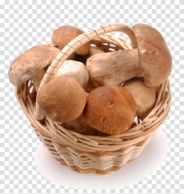 Mushroom Portable Network Graphics Shiitake Basket, mushroom transparent background PNG clipart