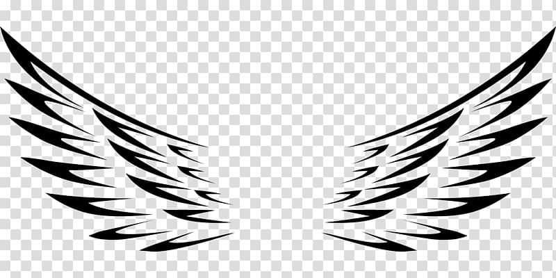 AutoCAD DXF , wings transparent background PNG clipart