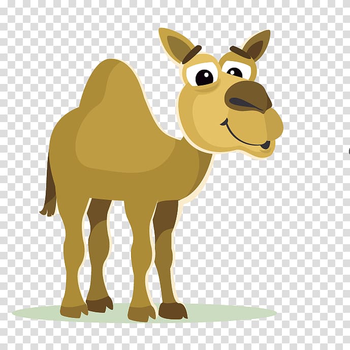 Bactrian camel Cartoon , camel transparent background PNG clipart