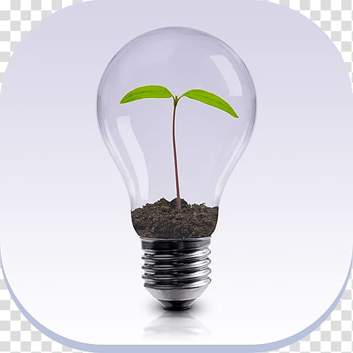 Innovation leadership Service Organization Management, green Lamp transparent background PNG clipart
