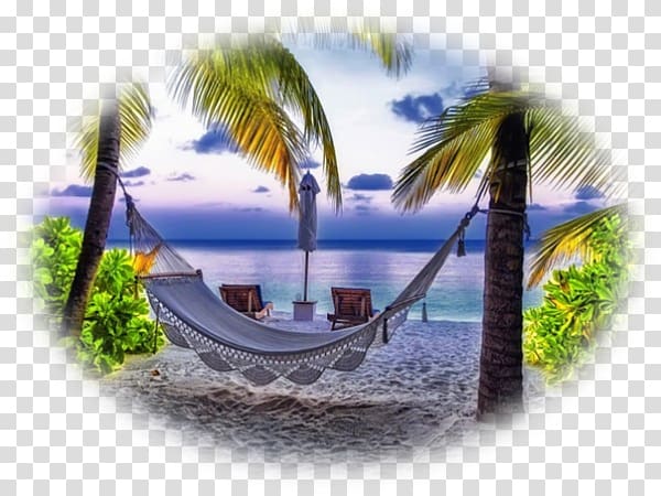 Lanikai Beach Hammock Desktop Hotel, paysage transparent background PNG clipart