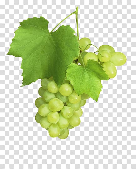Sultana Common Grape Vine Grape juice Fruit, grape transparent background PNG clipart